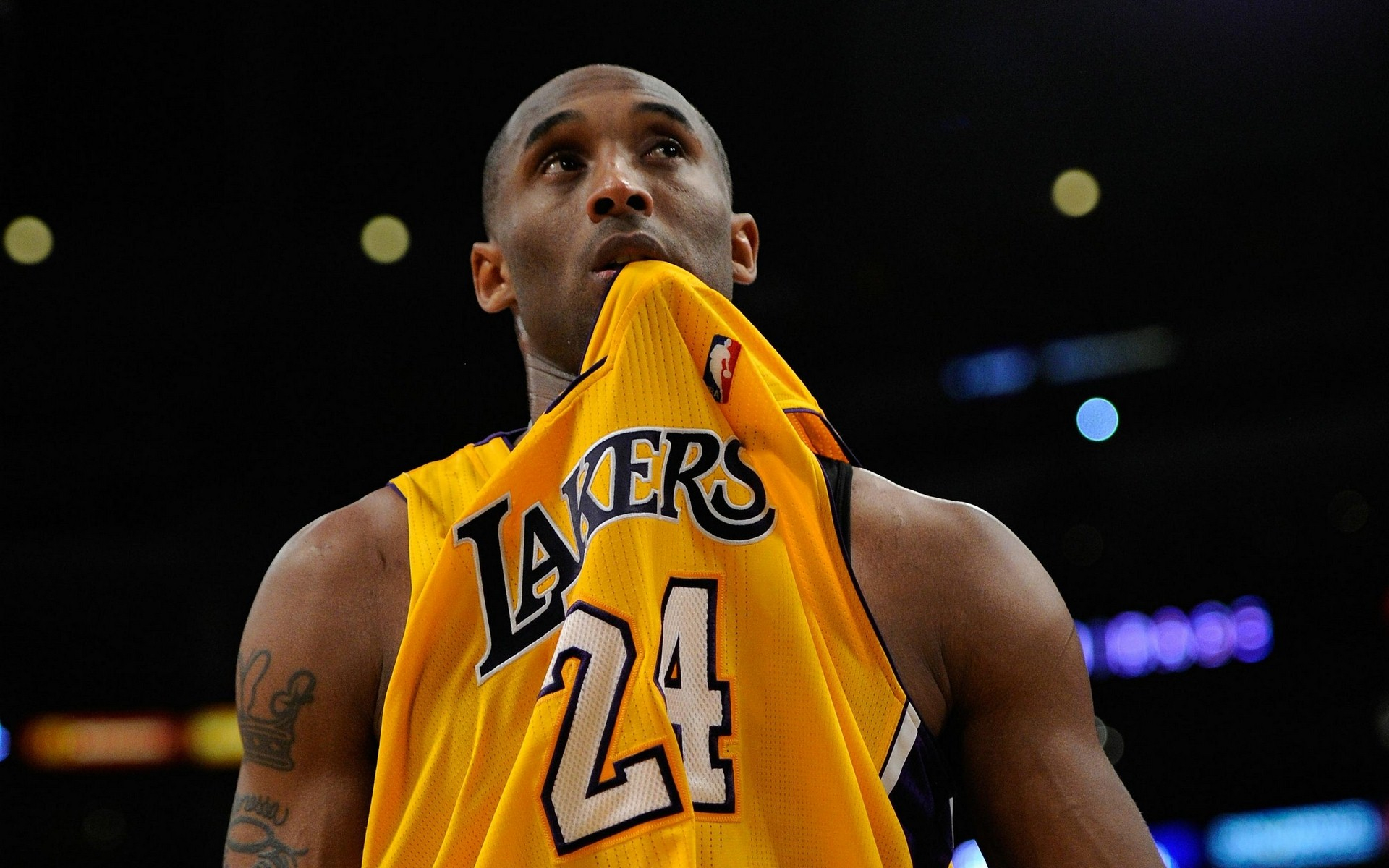 晋级四强的 晋级四强的